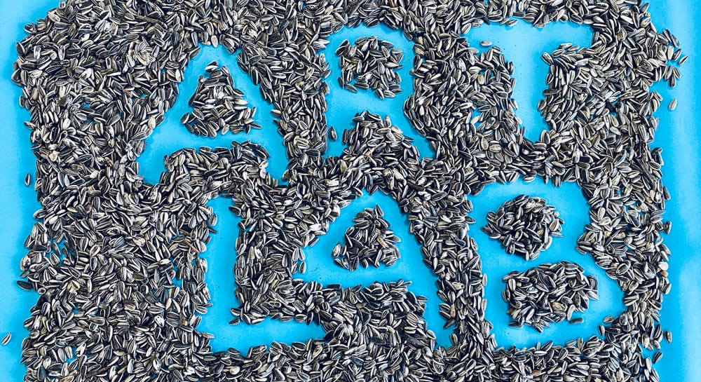 Art Lab kunsteducatie serie voor Kleur in Cultuur in Almere