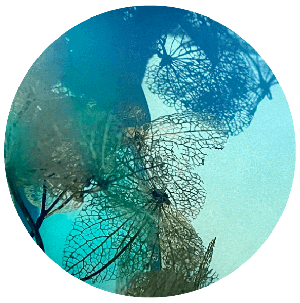 Creatie door Irma van Zijl